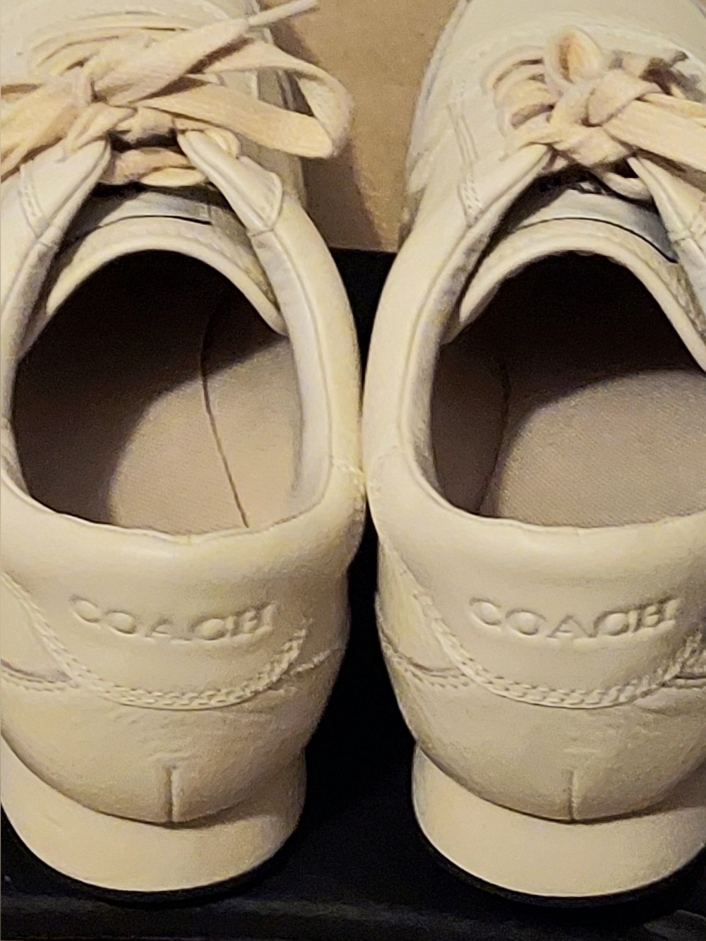COACH Chalk Raylen Sneakers - Picture 4 of 6